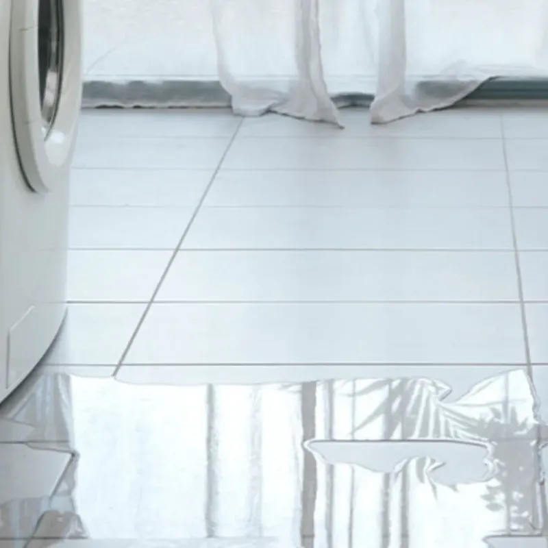 Appliance Leak Cleanup in Black Lick, PA