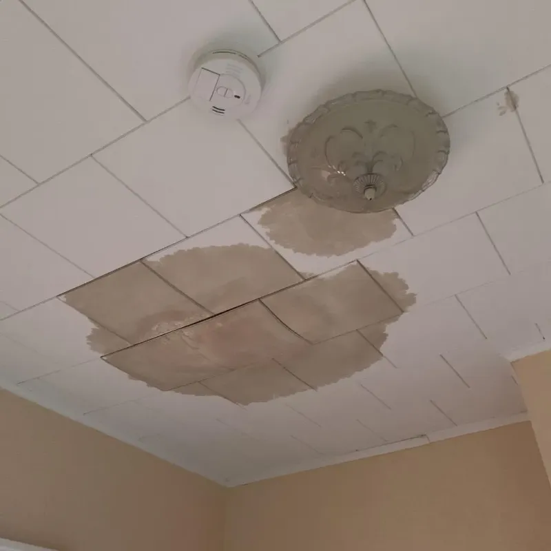 Ceiling Water Damage Repair in Black Lick, PA