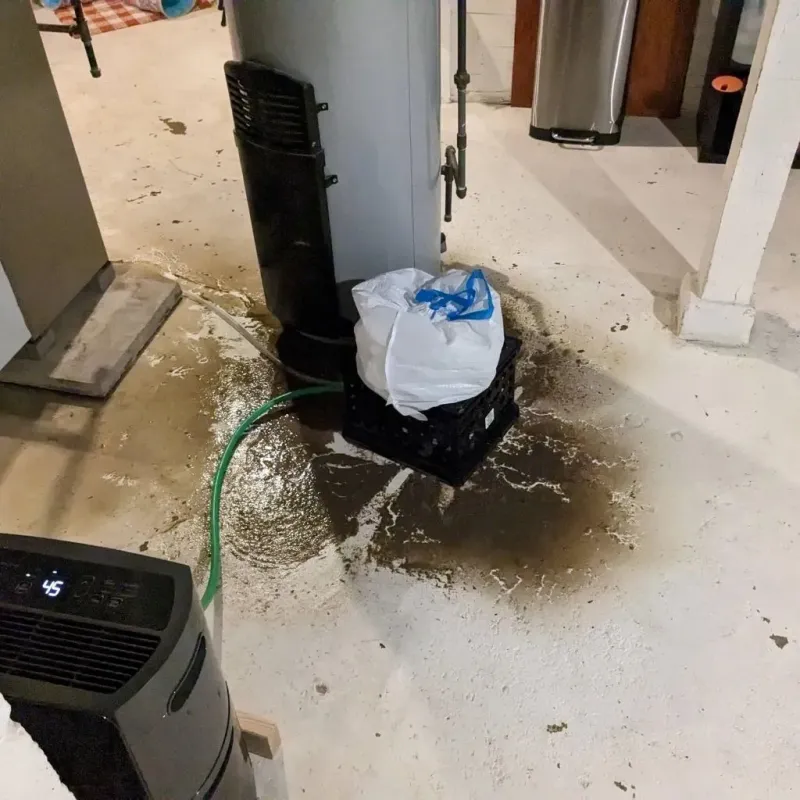 Sewage Backup Cleanup Service in Black Lick, PA